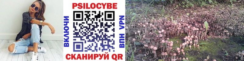 Псилоцибиновые грибы Psilocybe  Астрахань 