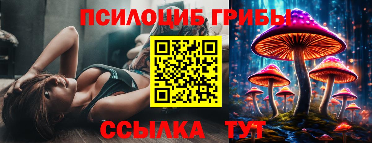 Галлюциногенные грибы Psilocybe Астрахань