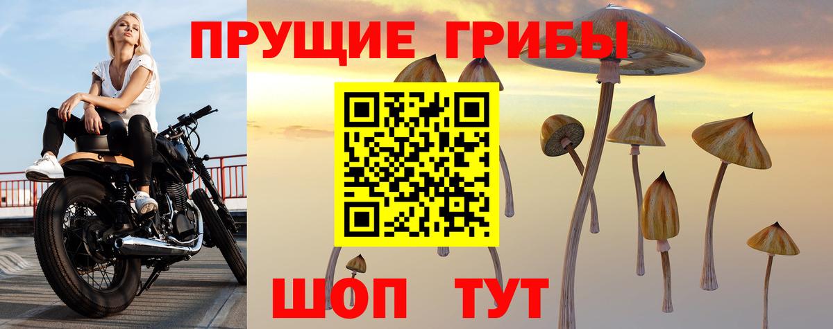 Псилоцибиновые грибы Psilocybe  Вход с VPN  Астрахань  Галлюциногенные грибы ЛСД 